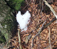 20160228_papuk_009