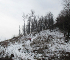 20160228_papuk_036