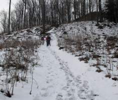 20160228_papuk_037