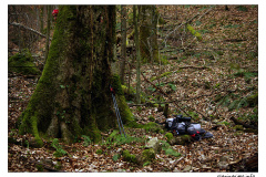 28.03.2009. - Ivačka glava
