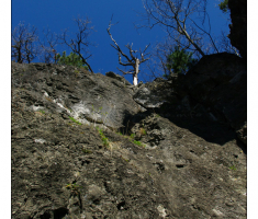 Penjalište