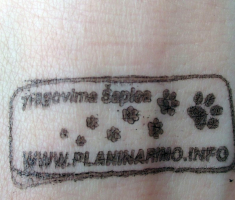 20160328_krndija_019