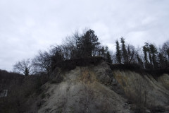 28.03.2021. - Medvjedijada