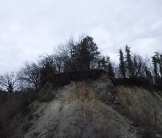 20210328_medvjedijada_116