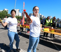 20240428_beogradski_maraton_42km_213