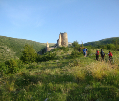 20160528_dinara_drazen_smit_007