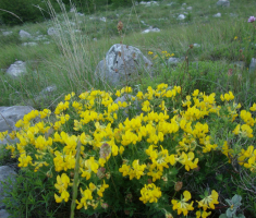 20160528_dinara_drazen_smit_014
