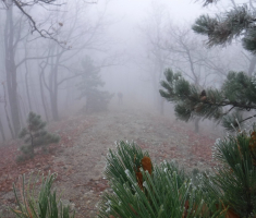 20201128_papuk_033