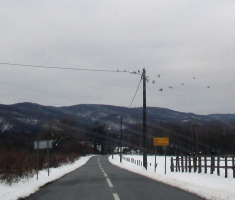 20150103_papuk_002