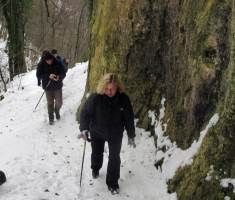 20150103_papuk_016