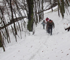 20150103_papuk_021