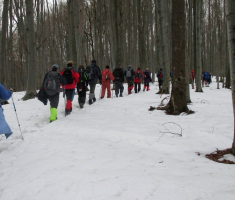 20150103_papuk_027