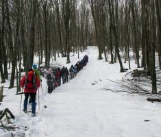 20150103_papuk_035