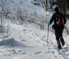 20150103_papuk_039