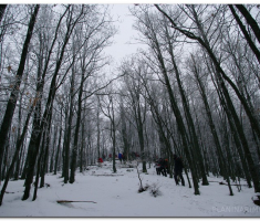tivanovo_00015