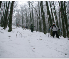 tivanovo_00016