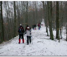 tivanovo_00024