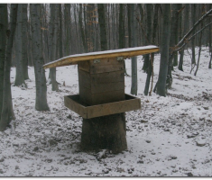 tivanovo_00052