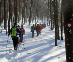 20170129_krndija_041