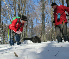 20170129_krndija_044
