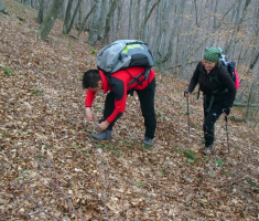 2050329_stjenjaci_krndije_021
