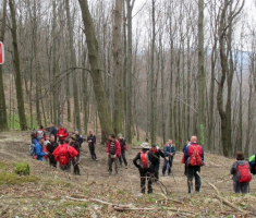 2050329_stjenjaci_krndije_034