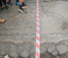 20260329_borovik_trail_018