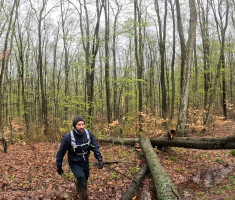 20260329_borovik_trail_035