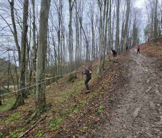 20260329_borovik_trail_042