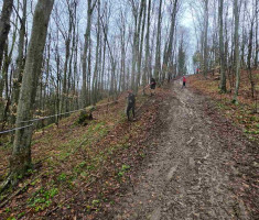 20260329_borovik_trail_044