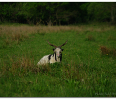 papuk20120429_00003