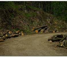 papuk20120429_00018