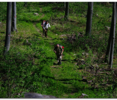 papuk20120429_00022