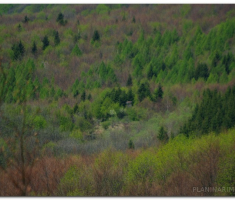 papuk20120429_00030
