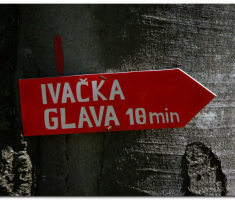 papuk20120429_00031