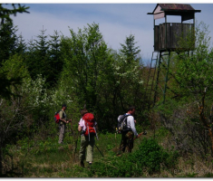 papuk20120429_00034