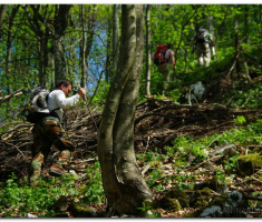 papuk20120429_00049