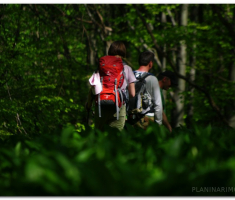 papuk20120429_00052