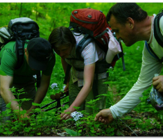 papuk20120429_00057
