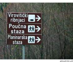 Bilogora