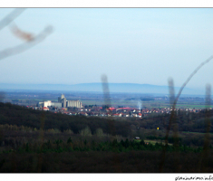 Pogled