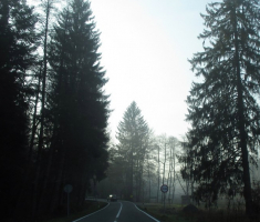 20141129_papuk_004