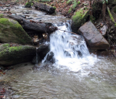 20141129_papuk_013