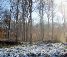 20151129_papuk_003