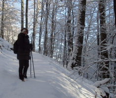 20151129_papuk_006
