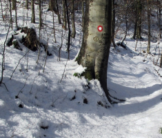 20151129_papuk_008