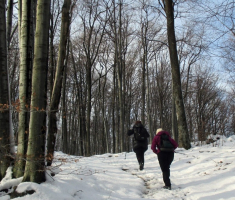 20151129_papuk_010