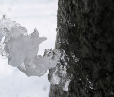 20151129_papuk_013