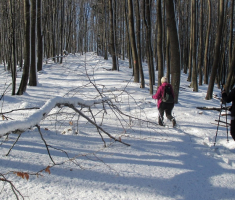 20151129_papuk_024