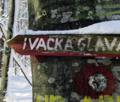 20151129_papuk_026